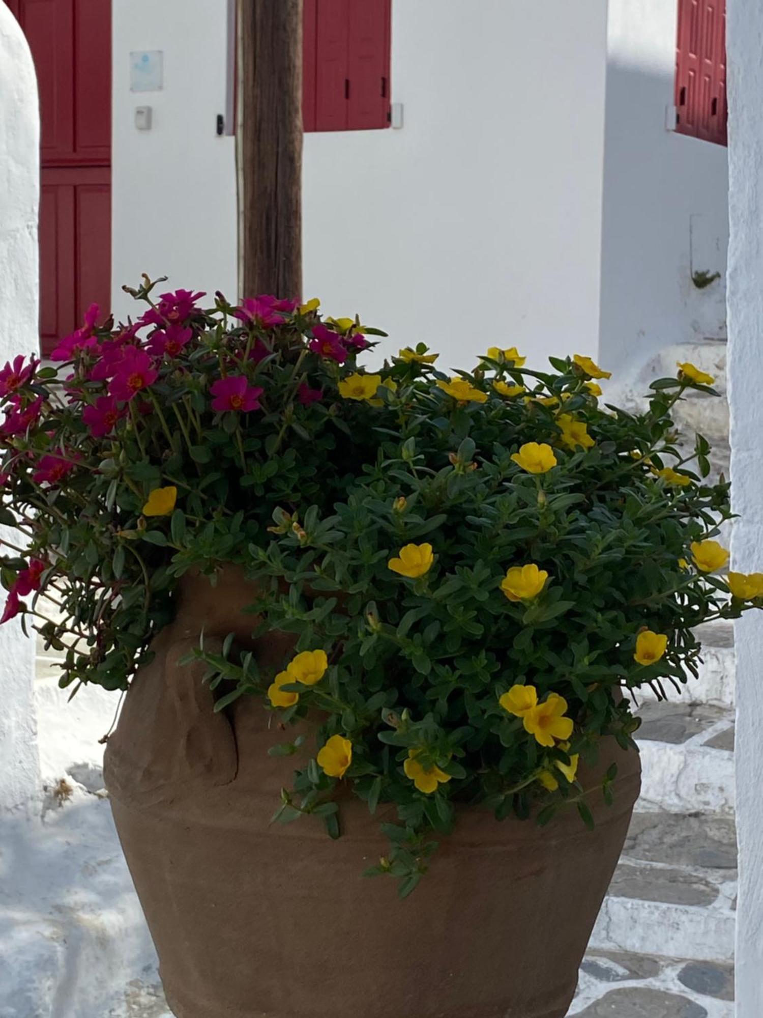 Pensione Della Nonna Hotel Mykonos Town Exterior foto